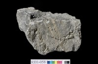 藏品(安山岩)的圖片